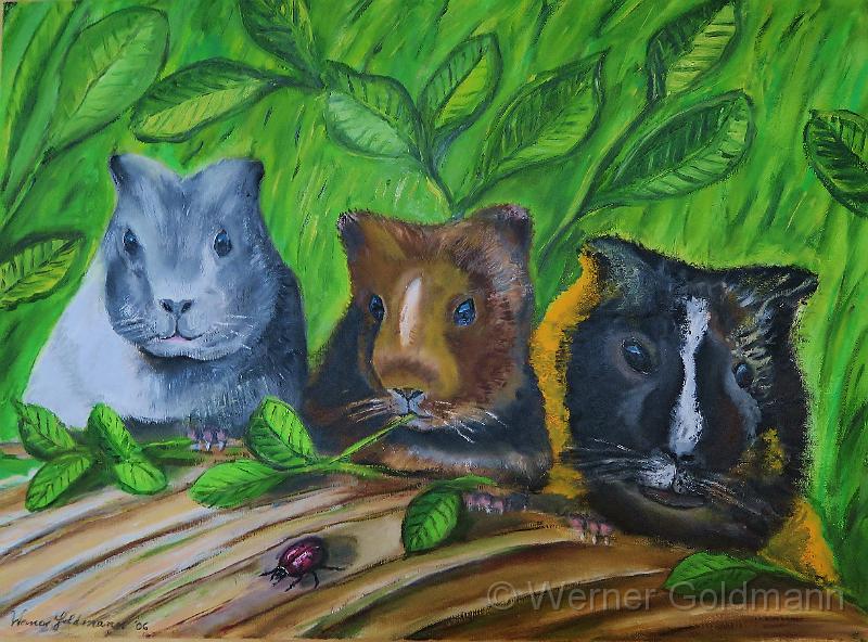 Familie Meerschwein (54x73)cm.jpg - Familie Meerschwein / Cavy family (54x73)cm (Öl auf Leinwand, 2006)